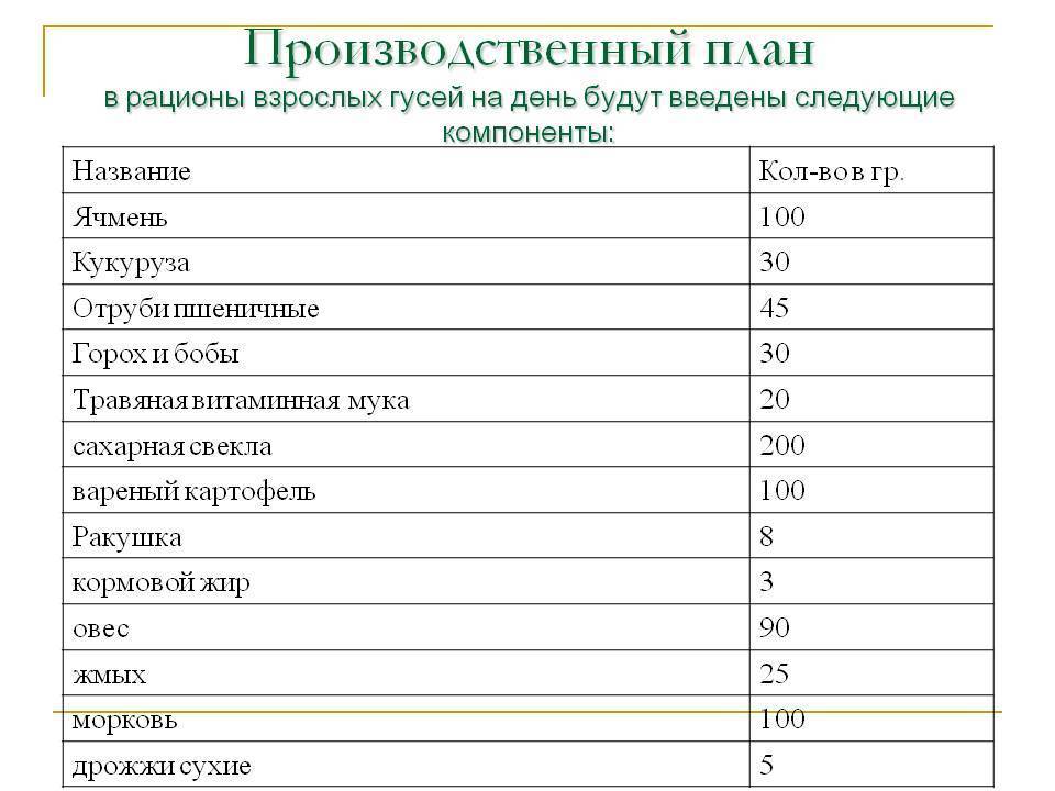 Чем можно кормить гусей