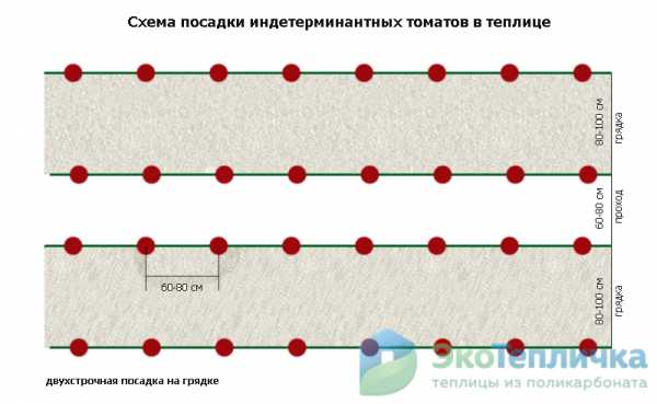 Схема высадки арбузов