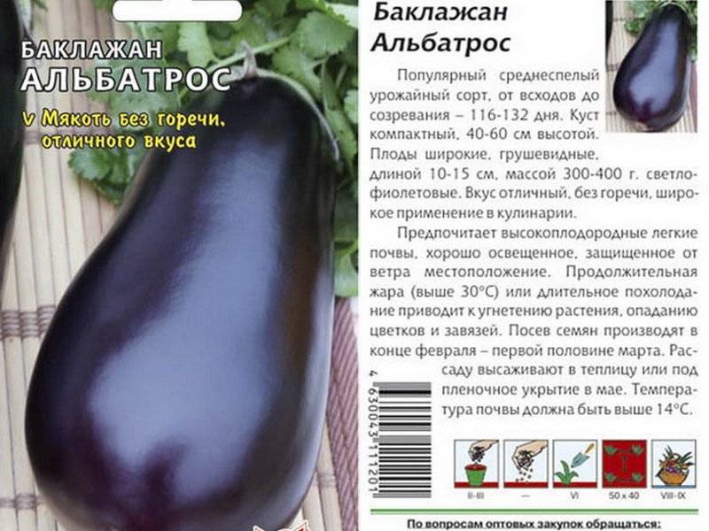 Лучшие урожайные сорта баклажан: описание и фото