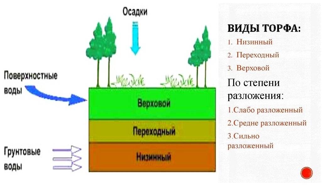Верховой и низинный торф: сходства и различия