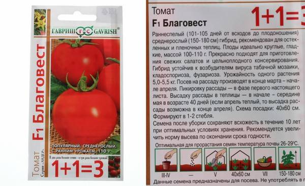 Урожай за 100 дней: почему дачники любят помидоры «благовест» — описание и особенности сорта, выращивание и уход — фазенда