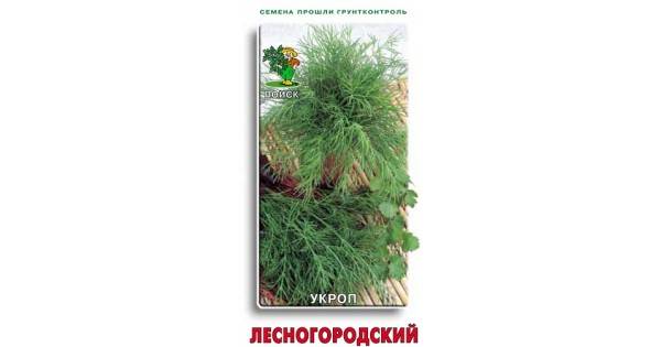 Укроп – лучшие сорта на зелень. описание. фото — ботаничка.ru