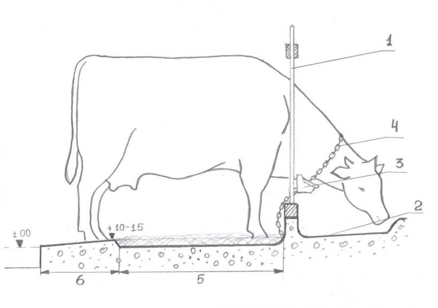 Кормушки для коров советы по изготовлению