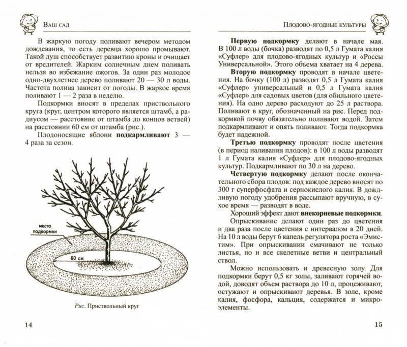 Чем подкормить яблони весной в 2023 году для хорошего урожая: до цветения, во время цветения, народные средства, благоприятные дни, по регионам