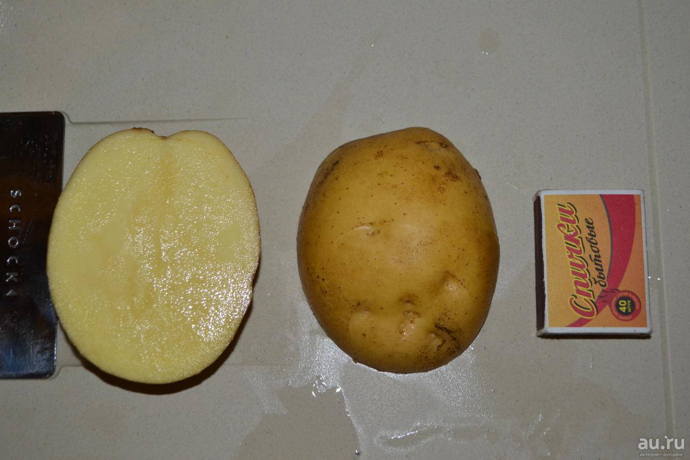 Картофель «латона»: характеристика, описание сорта, отзывы, фото, урожайность