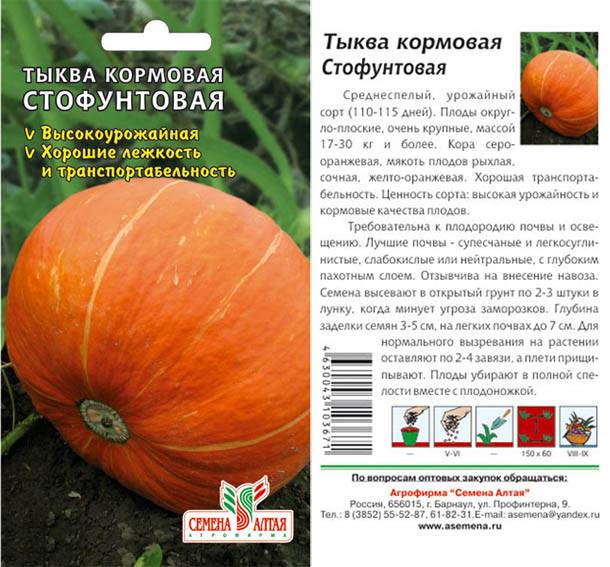 Можно ли есть кормовую тыкву людям