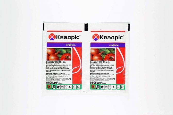 Карбезим, кс (фунгициды, пестициды) — agroxxi