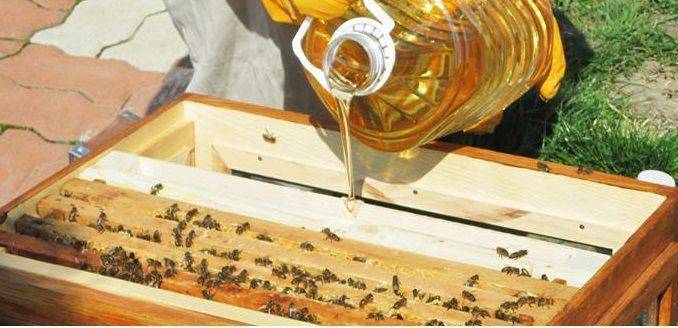 Основные правила подкормки пчел осенью. кормим правильно – зимуем удачно
