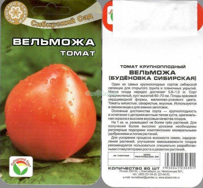 Томат красавец мясистый: отзывы об урожайности помидоров, характеристика и описание сорта, фото семян седек