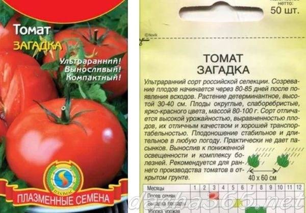 Лучшие детерминантные сорта томатов для россии и регионов