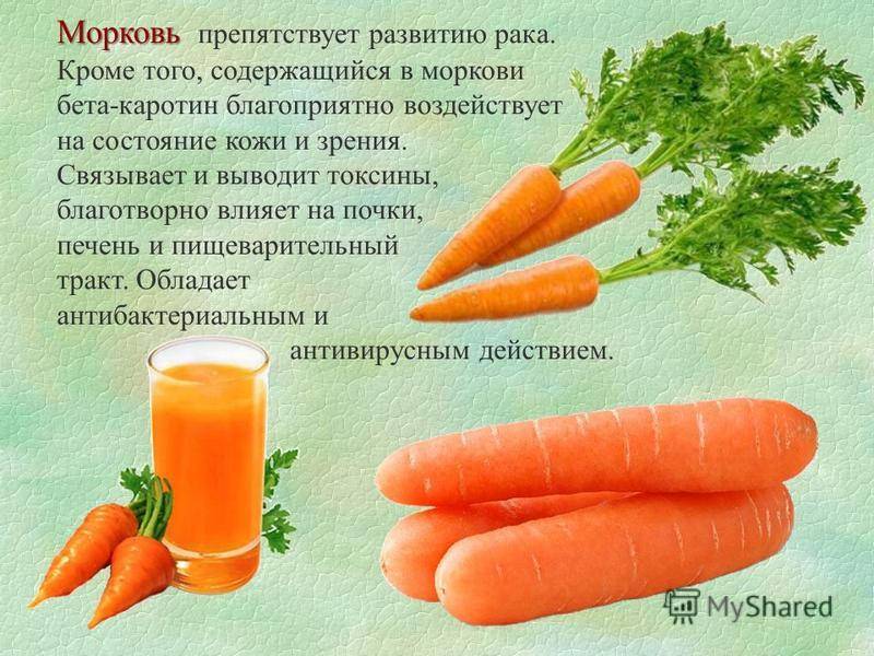 Желтая морковь: что это такое и почему она йеллоустоун, польза и вред семян, химический состав, чем отличается от оранжевой, описание сорта, можно ли есть