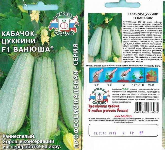 Виды и сорта кабачков (58 фото): как выбрать семена, высокоурожайные и необычные разновидности, видео