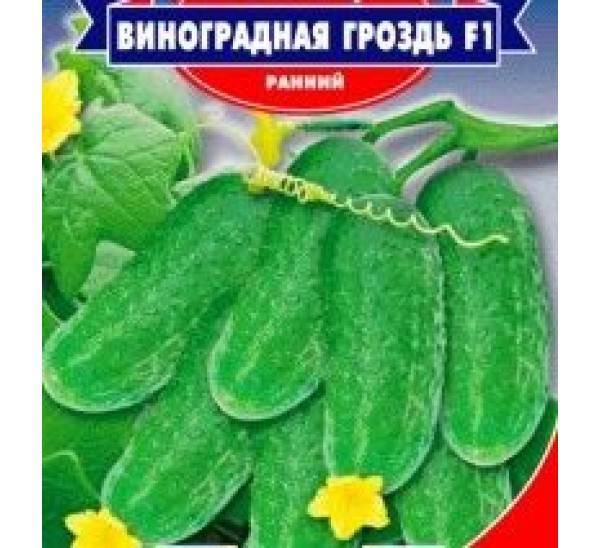 Виноград гелиос: описание сорта, фото и отзывы