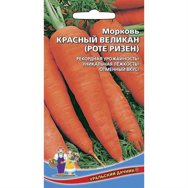 Морковь роте ризен красный великан: описание и характеристики, как правильно сажать + отзывы