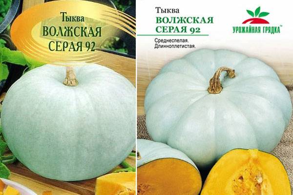 Особенности и характеристики сорта тыква спагетти. стоит ли покупать этот сорт?