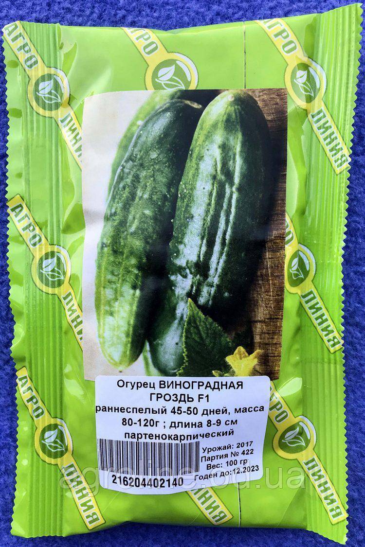 Огурец виноградная гроздь описание
