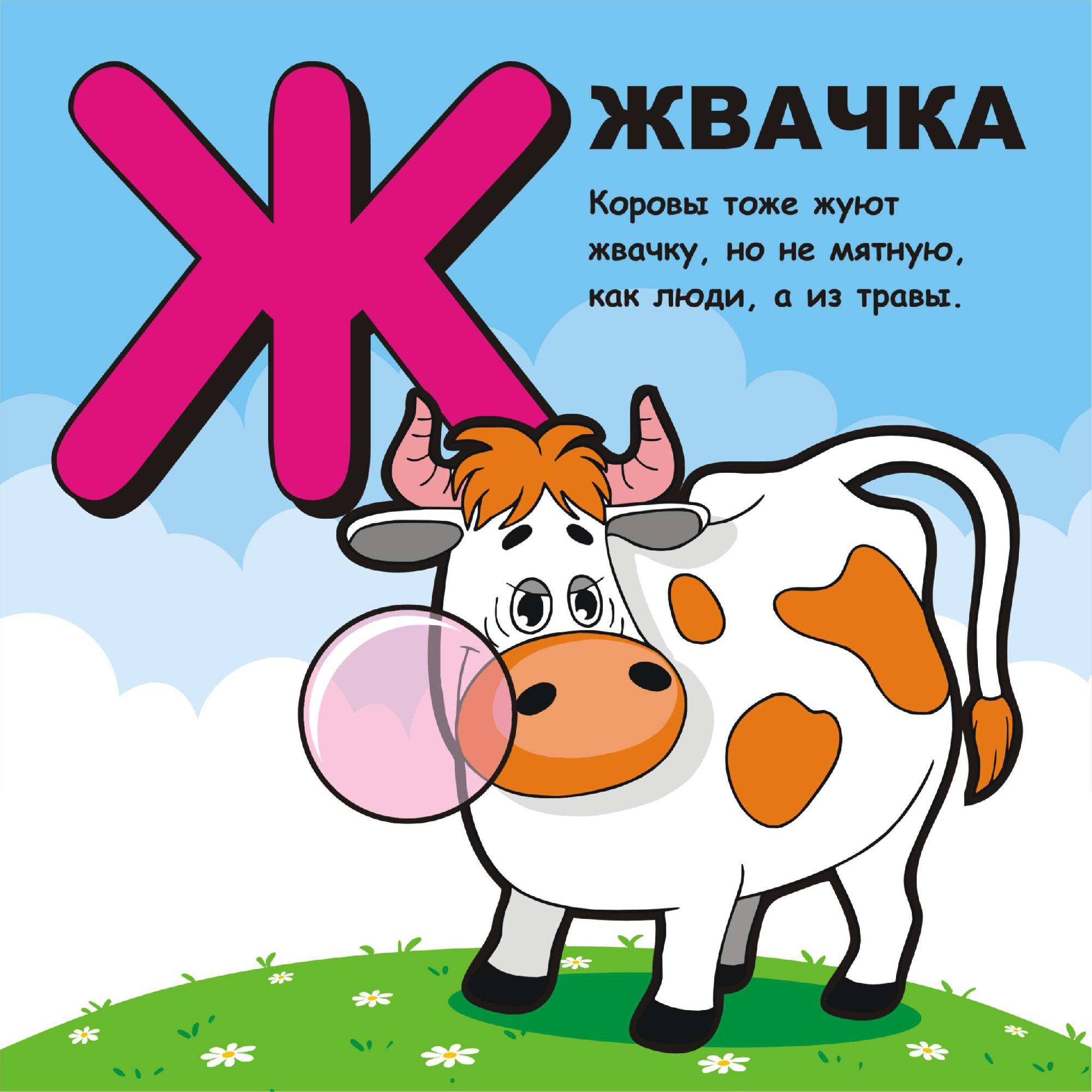 ᐉ корова или теленок не жует жвачку: как лечить и что делать - zooon.ru
