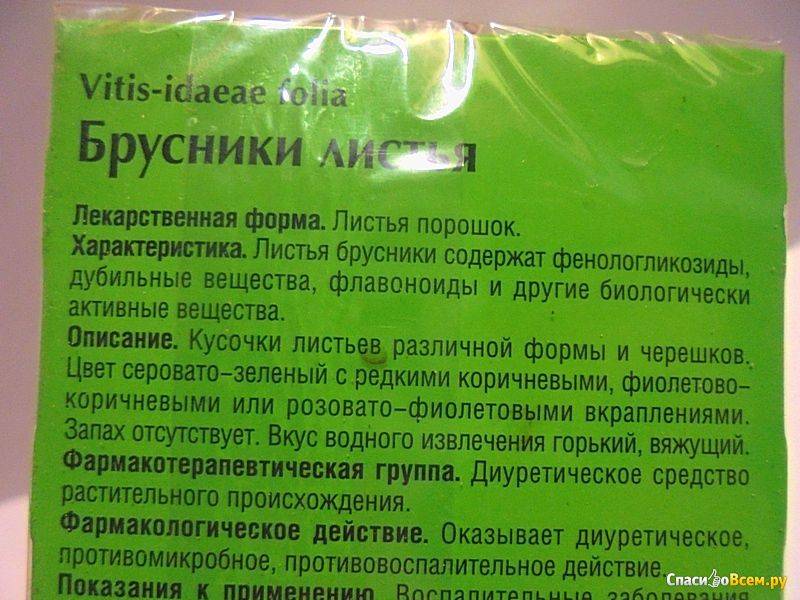 Лист брусники действие. Брусники листья Красногорсклексредства. Брусника лист. Листья брусники лечебные свойства. Отвар брусничного листа.