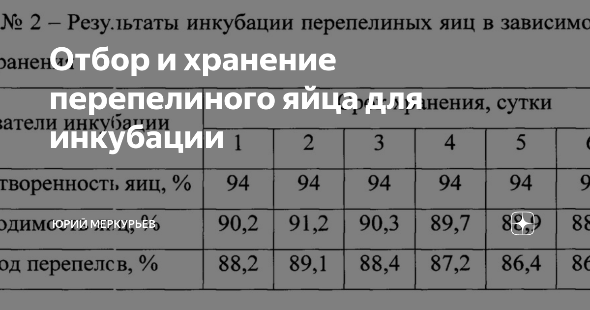 Схема инкубации перепелиных яиц