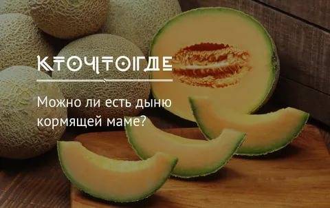 Горькая дыня - питательные свойства, польза в борьбе с раком, возможные побочные эффекты