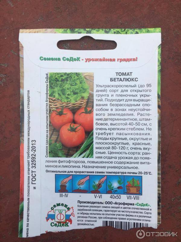 Томат бетта: характеристика сорта, фото плодов, описание особенностей выращивания, а также отзывы фермеров об этих помидорах