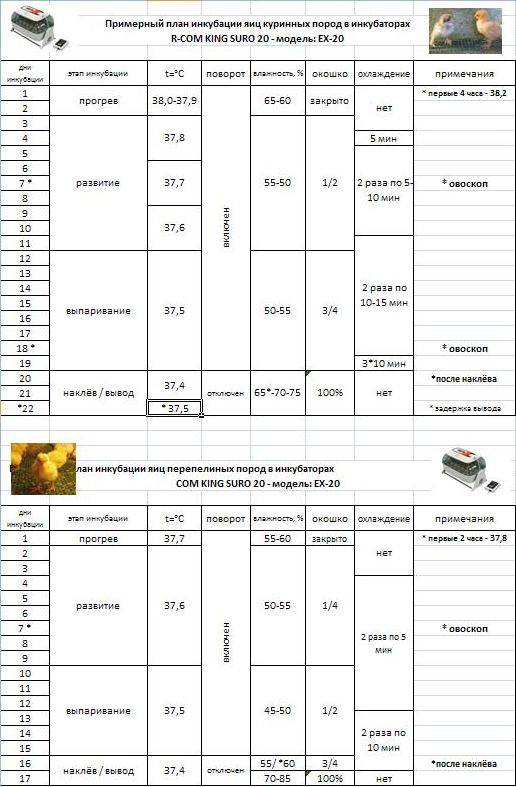 Таблица инкубатора индоуток