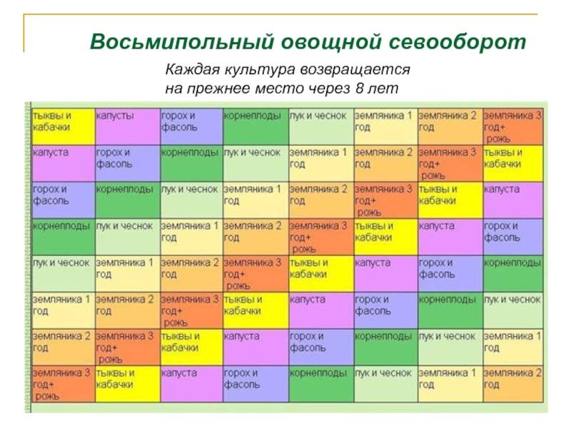 План севооборота на дачном участке