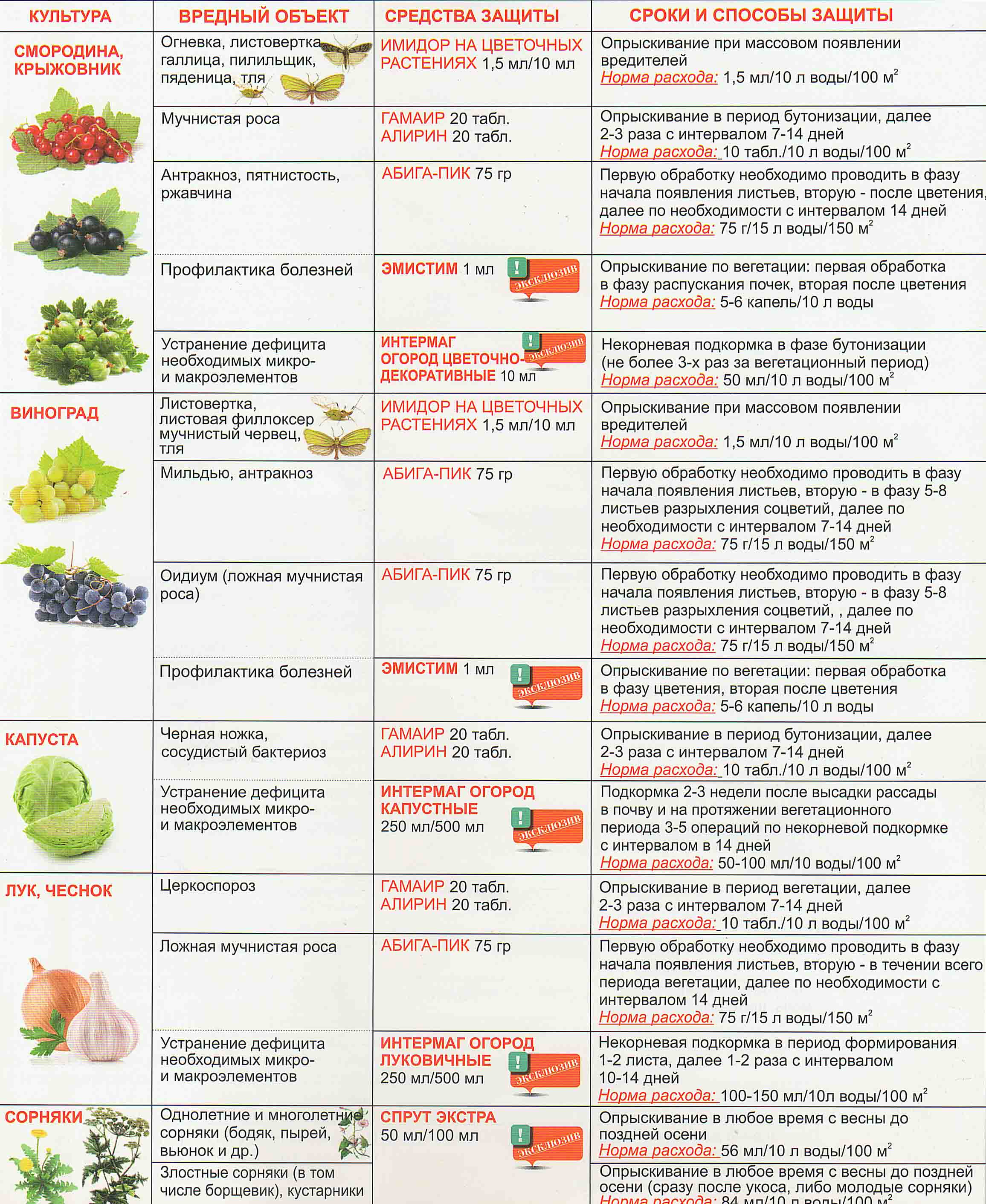 Подкормки смородины красной схема