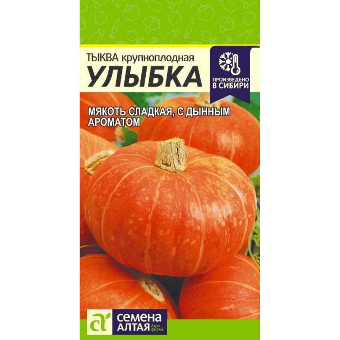 Тыква улыбка: описание сорта и уход за культурой