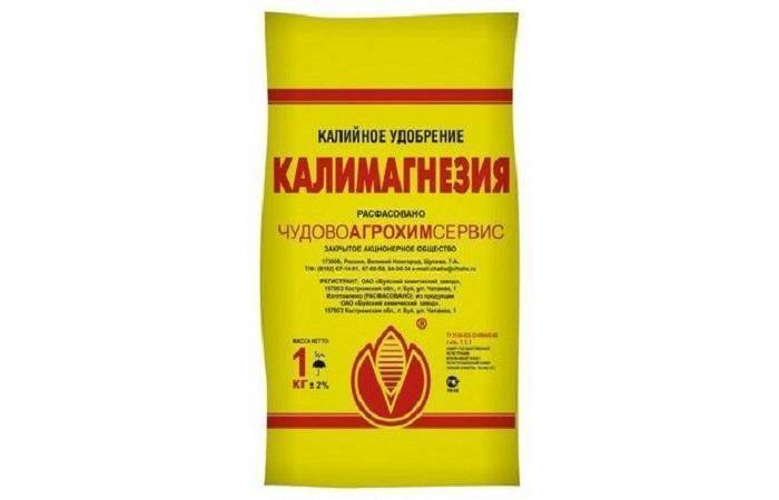 Подкормка роз осенью: чем удобрять, уход и подготовка к зиме