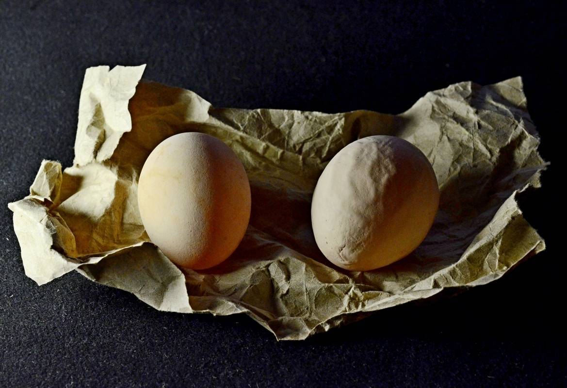 Почему скорлупа у яиц мягкая: что является причиной, как это диагностировать и устранить