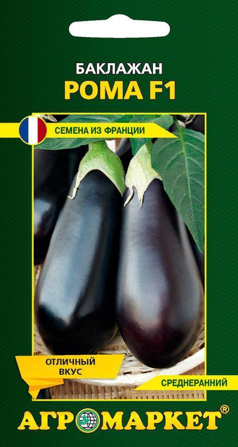 Описание сорта баклажана рома f1, его характеристика и урожайность