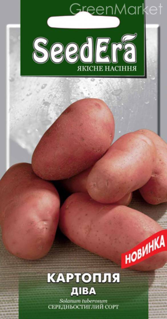 Востребованный среди крупных фермеров и дачников — картофель реванш: описание сорта, отзывы