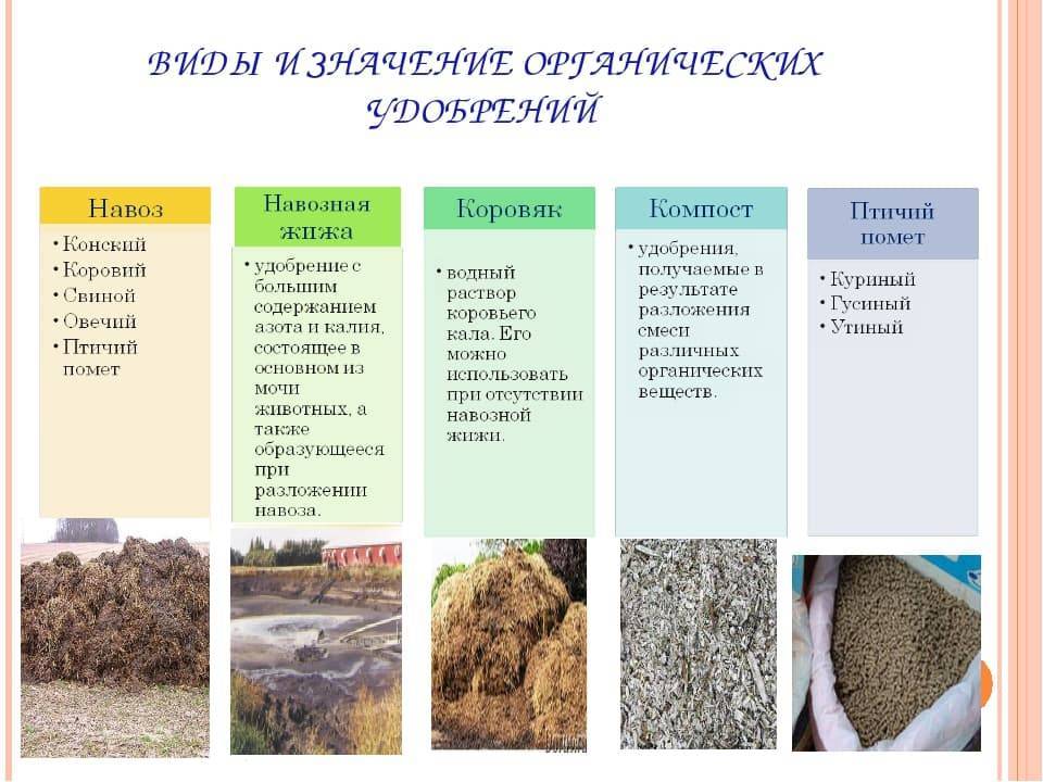 Особенности применения минеральных и органических удобрений
