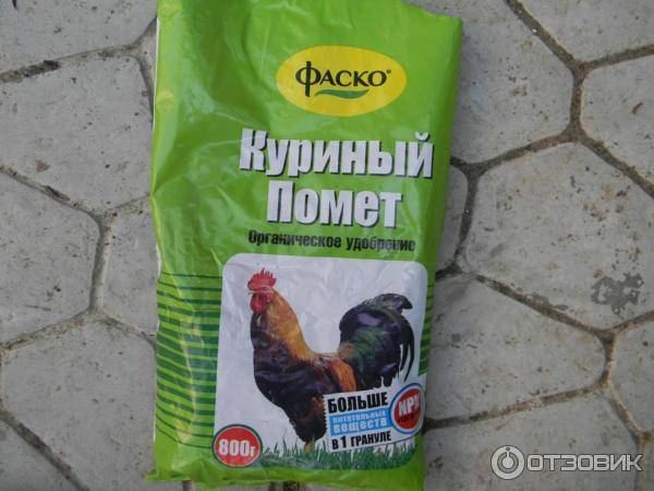 Как применять куриный помет в качестве удобрения для растений