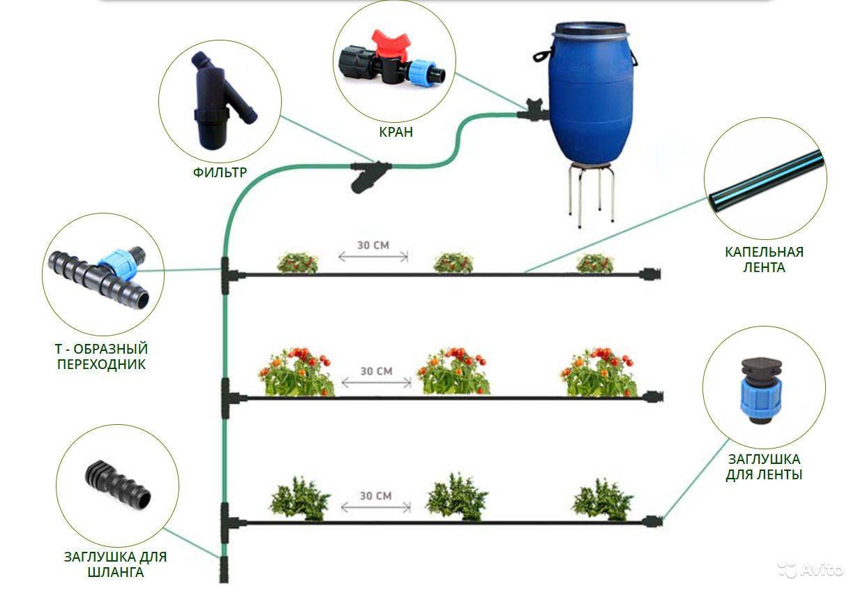 Схема капельного полива для теплицы - 87 фото