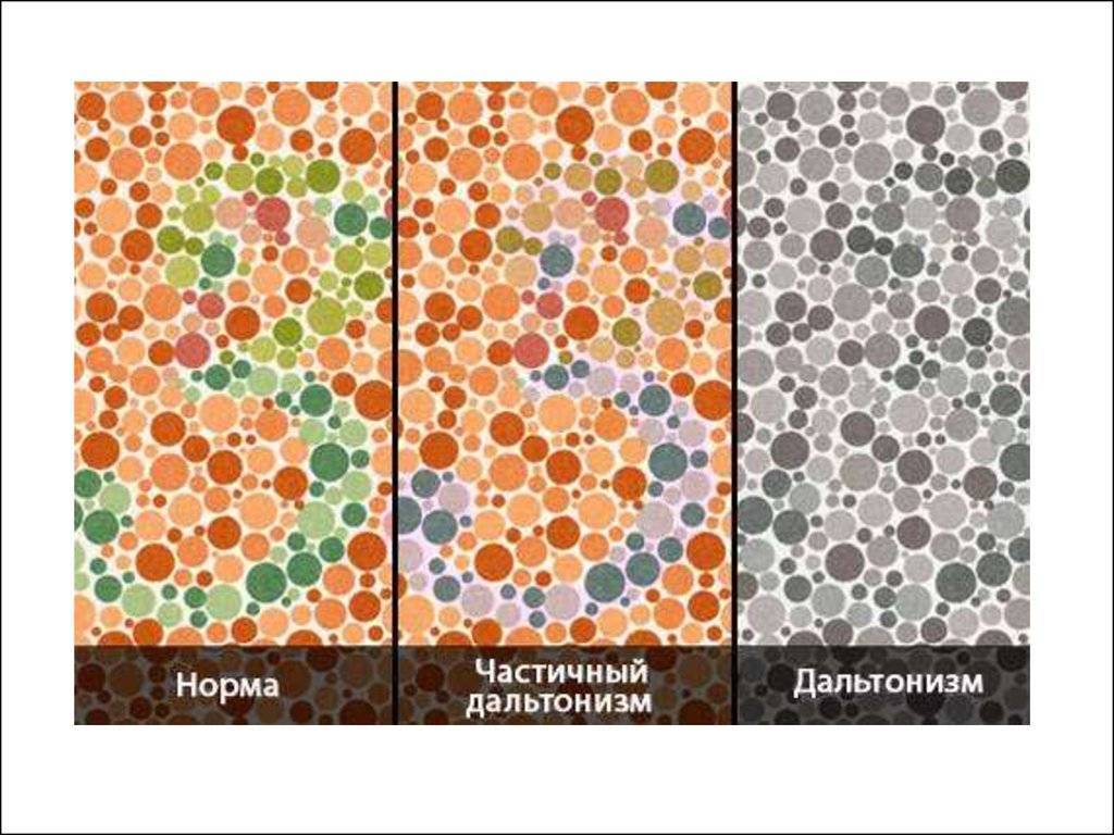 Картинки мир глазами дальтоника картинки