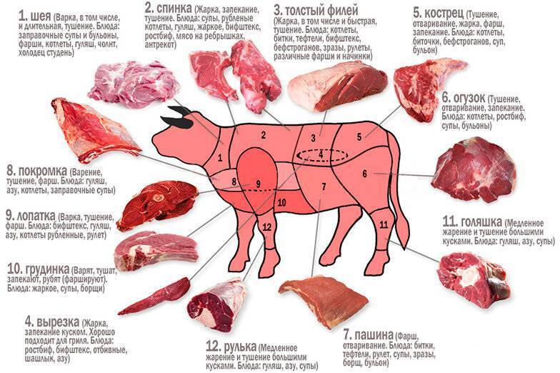 Как разделать свинью: пошаговое описание процесса, основные правила, санитарные нормы
