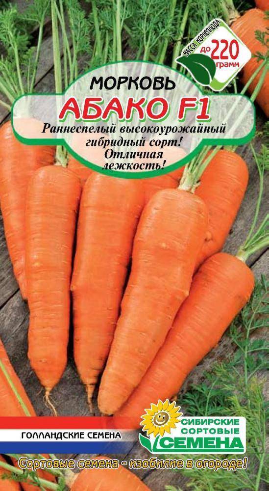Подробная характеристика и особенности выращивания моркови сорта абако