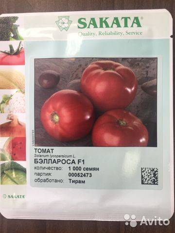 Томат бэлла роса f1: характеристика и описание сорта семян, отзывы об урожайности помидоров и фото куста в высоту