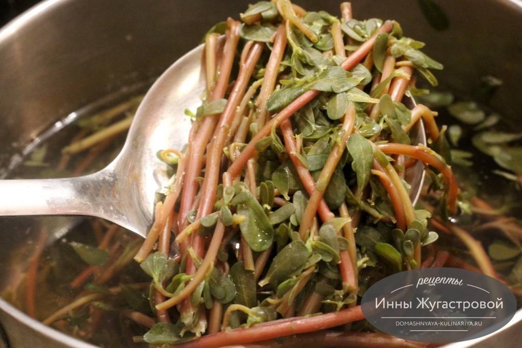 20 самых вкусных салатов на зиму