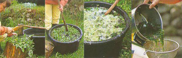 Жидкое удобрение из скошенной травы и сорняков в бочке: способы приготовления и использования