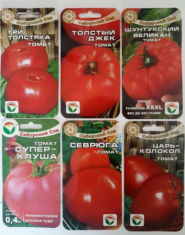 Самые урожайные сорта семян томатов (помидор) для сибири на 2021 год