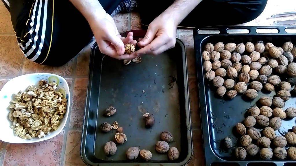 Как расколоть грецкие орехи в домашних условиях
