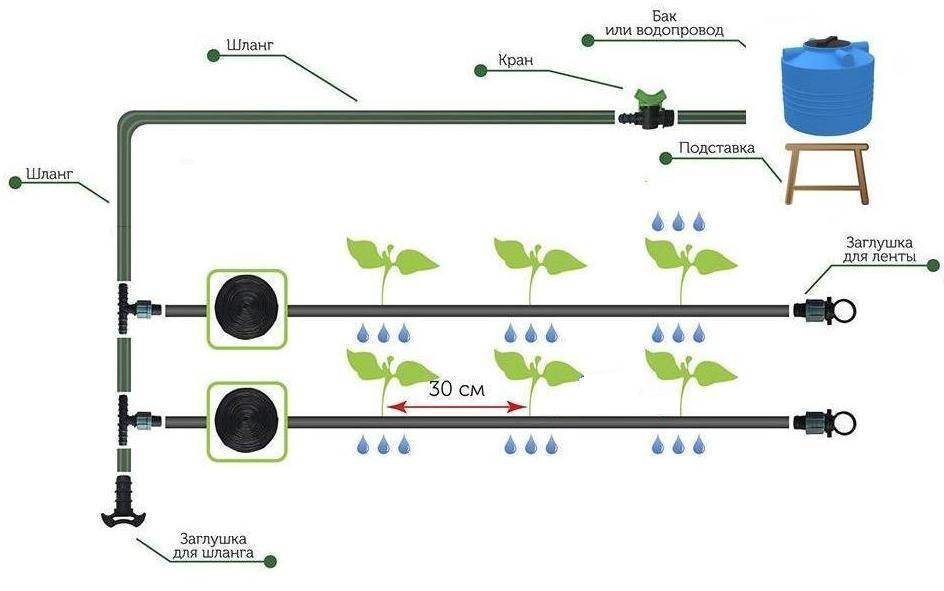 Схемы капельного полива и материалы для новичков