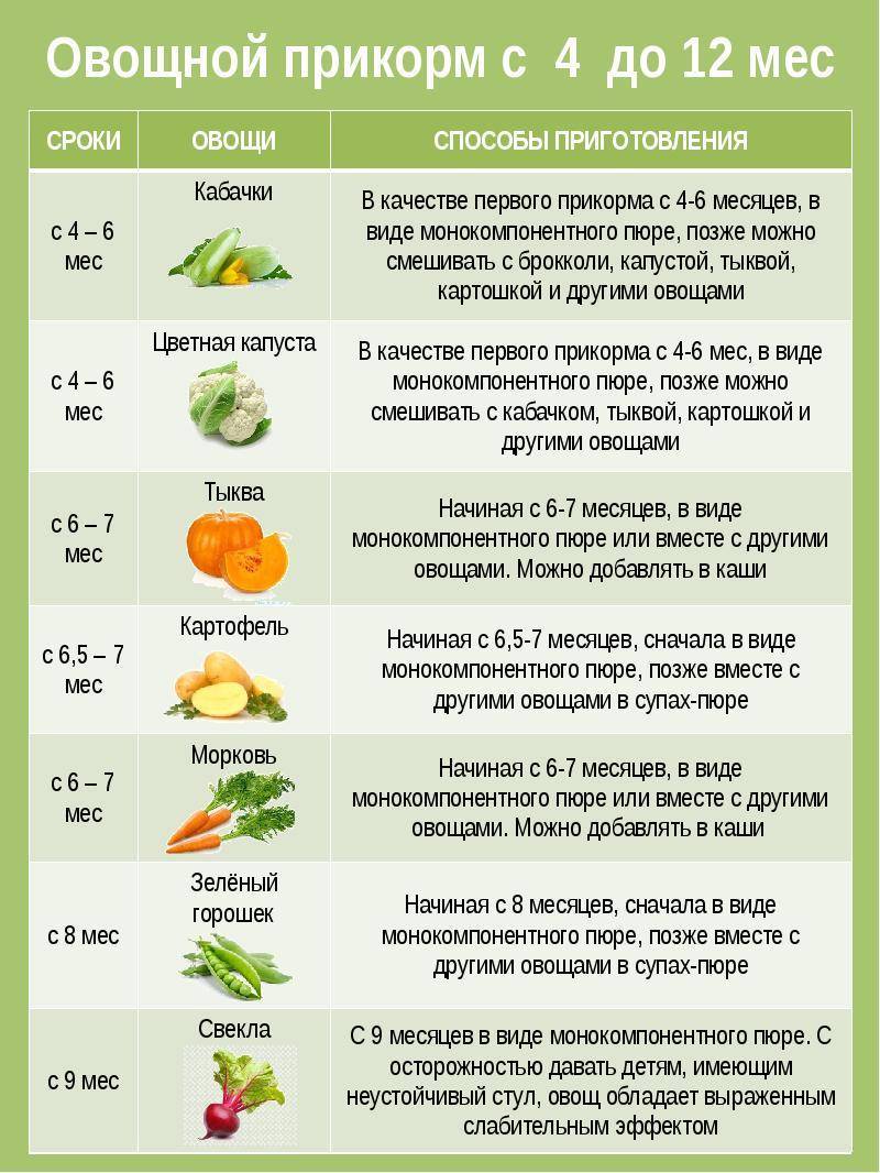 Мясное пюре для первого прикорма. с чего начать мясной прикорм? — гбуз «городская детская поликлиника»