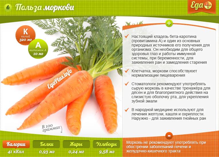 Морковь сырая — химический состав, пищевая ценность, бжу