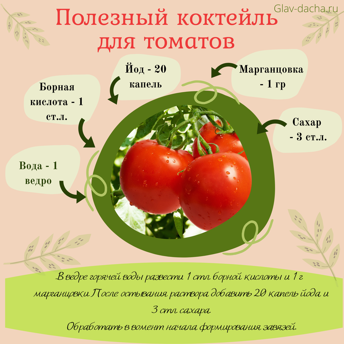 Подкормка томатов в теплице дедовскими методами