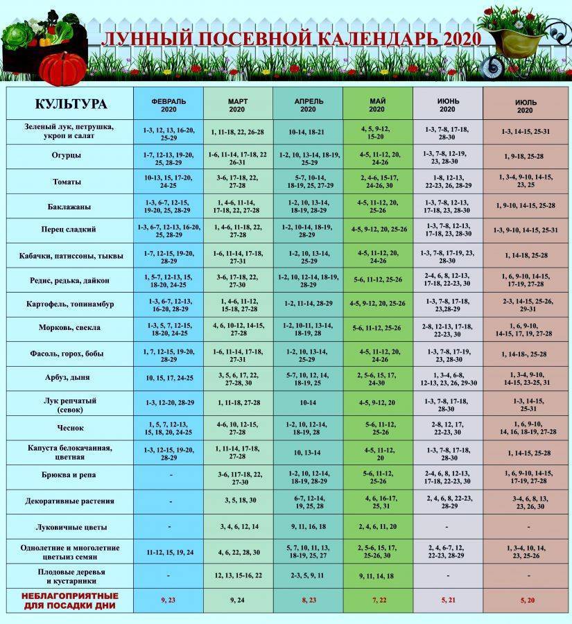 Лунный календарь для растений и рассады по дням на апрель 2021 :: инфониак