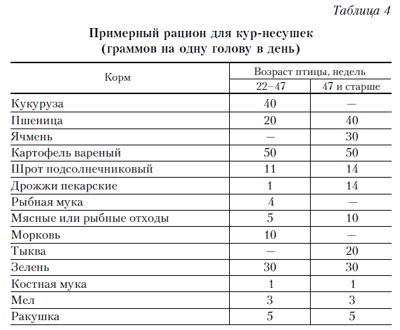 Как приготовить корм из рыбы для птицы